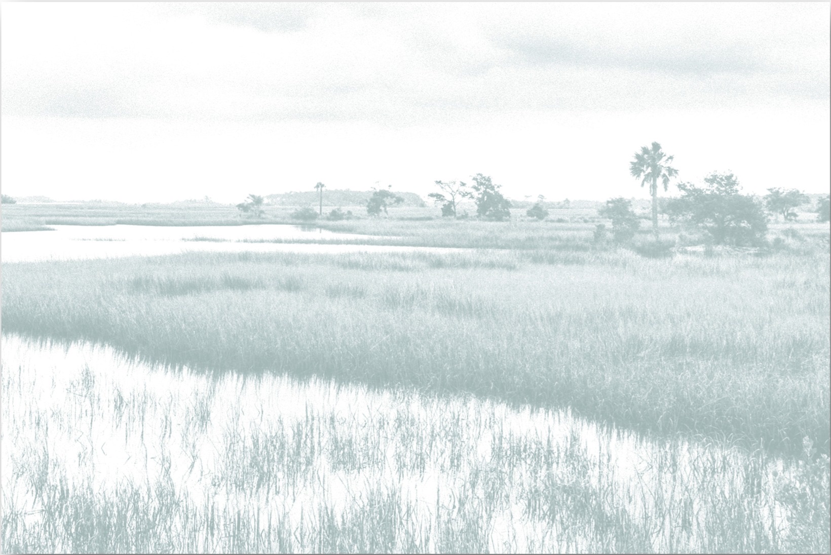 Sage Marsh, artwork by William Meyer